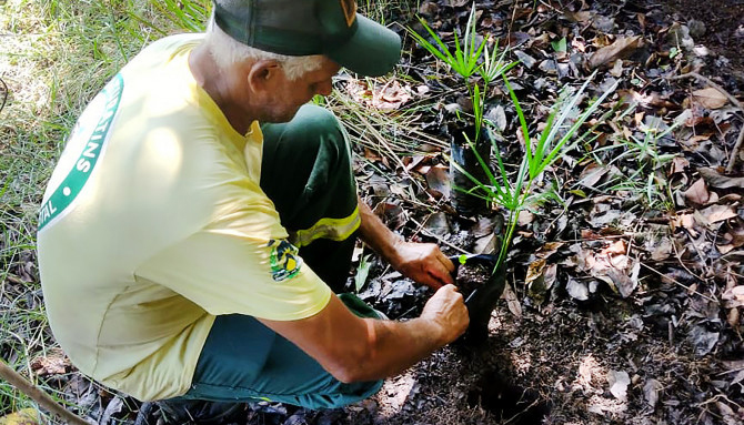 Foram plantadas 80 mudas de Buriti nesta que foi a primeira ação da APA Lago de Palmas neste ano