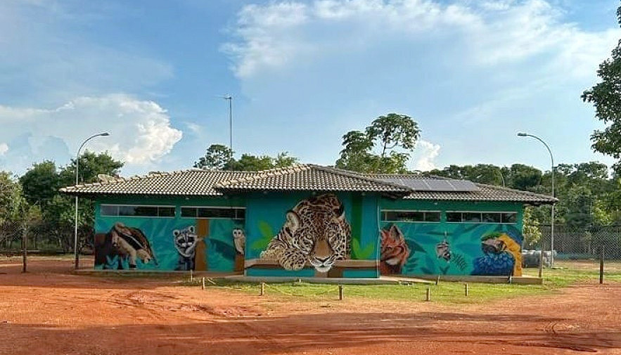 Há seis anos, o Cefau desempenha um papel fundamental na proteção e reabilitação da fauna silvestre