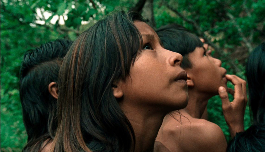O filme foi dirigido pela brasileira Renée Nader Messora e pelo português João Salaviza, retratando a luta pela terra e as diferentes formas de resistência da comunidade da aldeia Pedra Branca, terra Indígena Krahô, no Estado do Tocantins