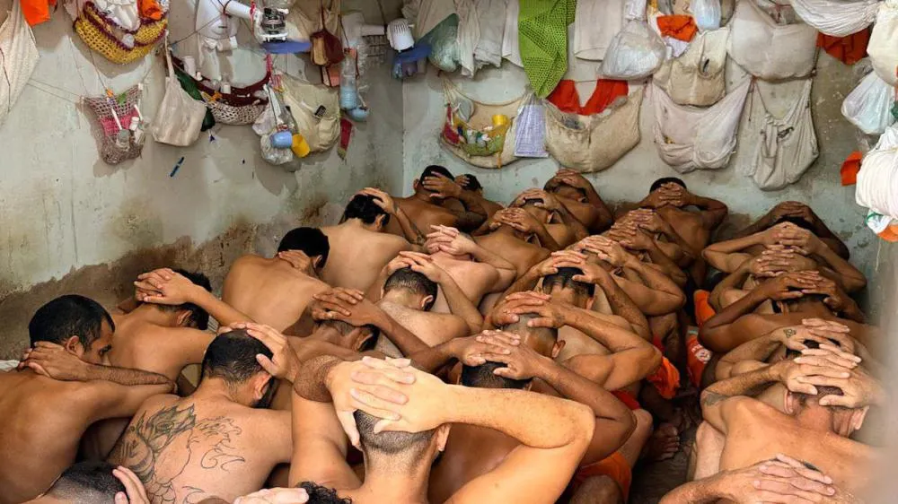 Foto: Reprodução