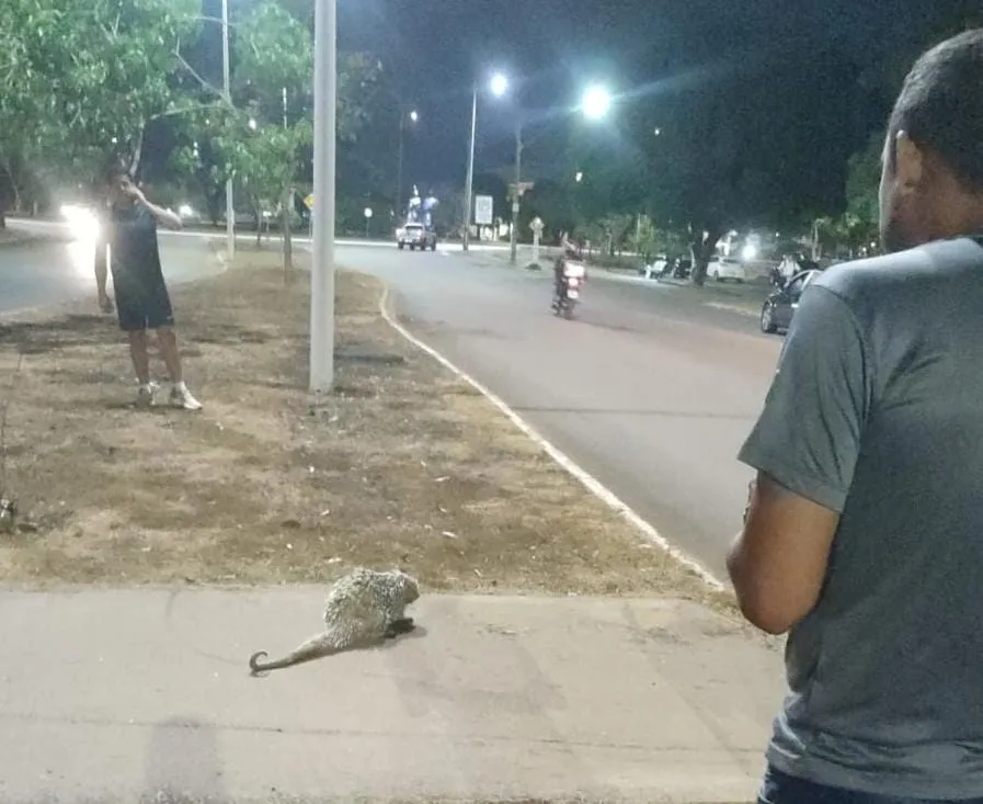 Foto: Reprodução