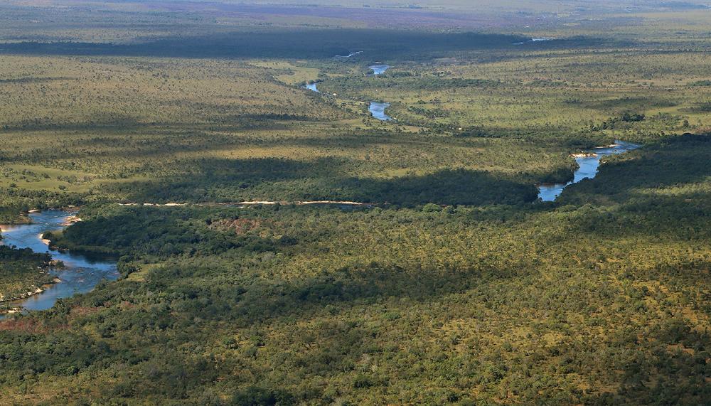 Dados divulgados pelo Inpe indicam redução no desmatamento do Cerrado no mês de janeiro 