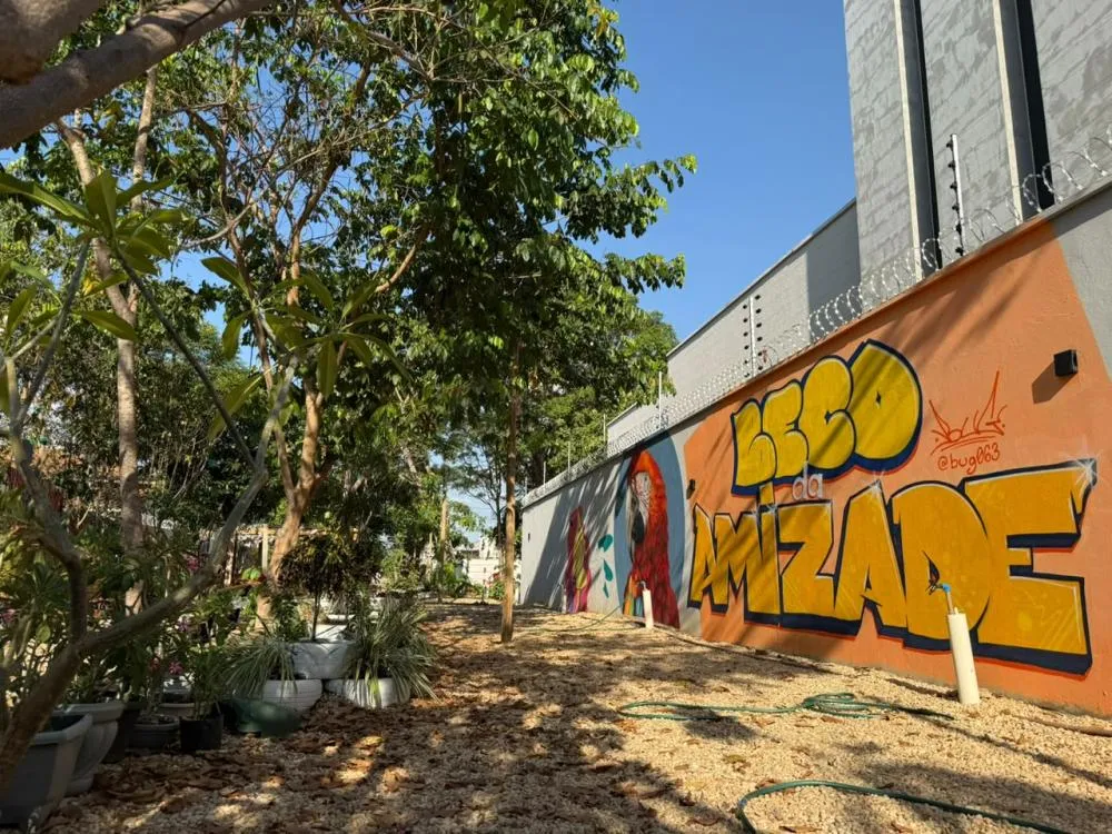 Foto: Reprodução
