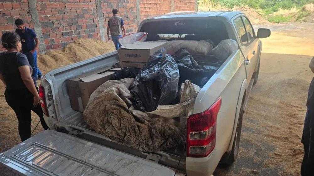 Polícia Civil do Tocantins incinera mais de 100 kg de drogas apreendidas durante investigações em Paraíso do Tocantins
