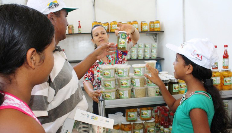 Na Agrotins 2024, os visitantes conhecerão os diversos produtos do agroextrativismo na exposição .