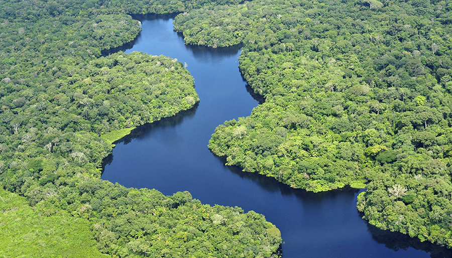 Região Amazônica abriga importantes bacias hidrográficas.