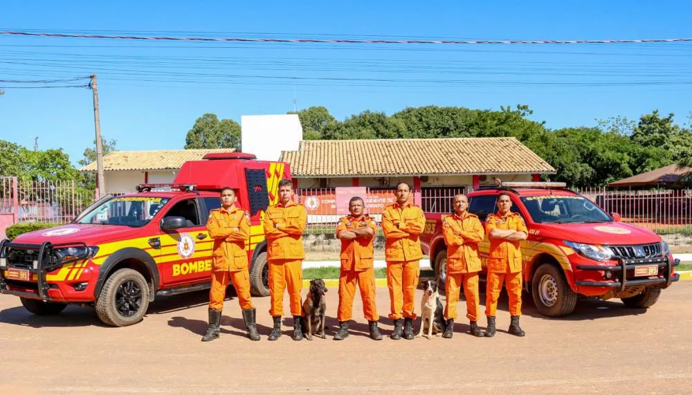 Seção de Busca, Resgate e Salvamento com Cães (SBRESC), integrante da Companhia Independente de Busca e Salvamento (Cibs) do Corpo de Bombeiros Militar do Tocantins, desempenha um papel fundamental na operação de resgate em situações de emergência