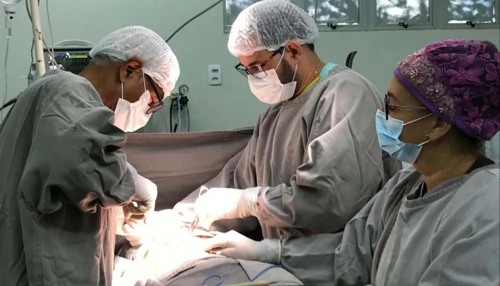 Procedimentos ocorrem em hospitais estaduais, municipais e contratualizados da rede privada 