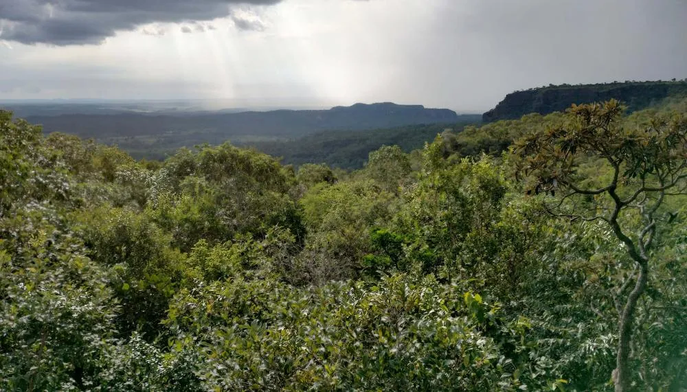 Permanecem abertas as inscrições para capacitação do ICMS Ecológico, que ocorrerá nos dias 22 e 23 de maio de 2024