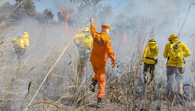 Bombeiros militares combatendo incêndio florestal em Natividade, no sudeste do Tocantins.