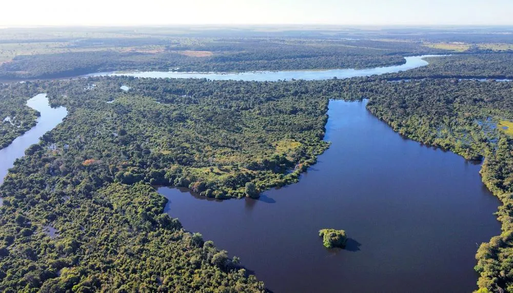 O Tocantins é cortado por rotas de aves silvestres migratórias (rota Brasil Central) que passam ao longo dos Rios Araguaia e Tocantins