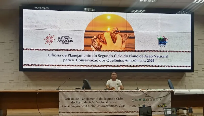 Evento marca o segundo ciclo do programa dedicado à preservação dessas espécies vitais para a biodiversidade da Amazônia