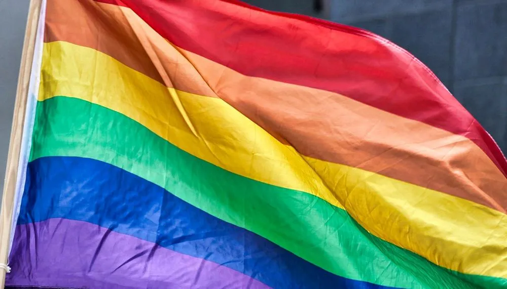 Conselho atuará de forma colegiada, com natureza consultiva e deliberativa, cuja finalidade consiste em colaborar na formulação e no estabelecimento de ações, diretrizes e medidas governamentais referentes à comunidade LGBTQIA+.