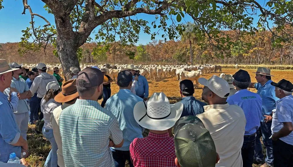 Rota da Pecuária encerra atividades nesta sexta-feira, 28, na Fazenda Boa Esperança, em Paraíso do Tocantins.
