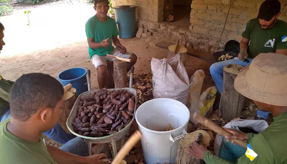 Projeto incentiva os arranjos produtivos locais e gera oportunidade trabalho e renda para as famílias.