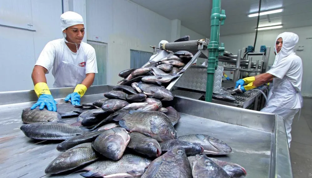 Pesca e Aquicultura apresenta repositório com dados atualizados sobre comercialização de peixe e piscicultura no Tocantins