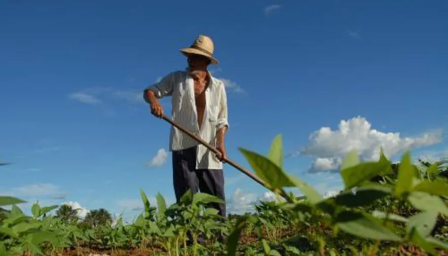 Agricultor tocantinense é a grande mola propulsora para o desenvolvimento agrícola