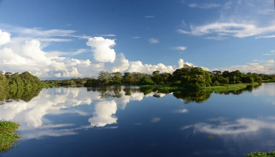APA Ilha do Bananal/Cantão é uma Unidade de Conservação (UC) de grande relevância ambiental, abrigando rica biodiversidade