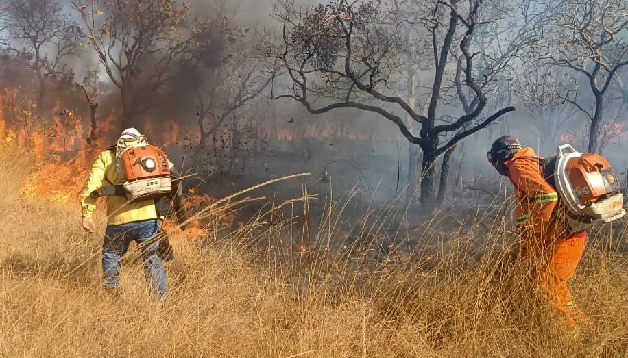 Brigadistas do Naturatins e da Prefeitura Municipal de Lajeado combatem incêndio florestal.