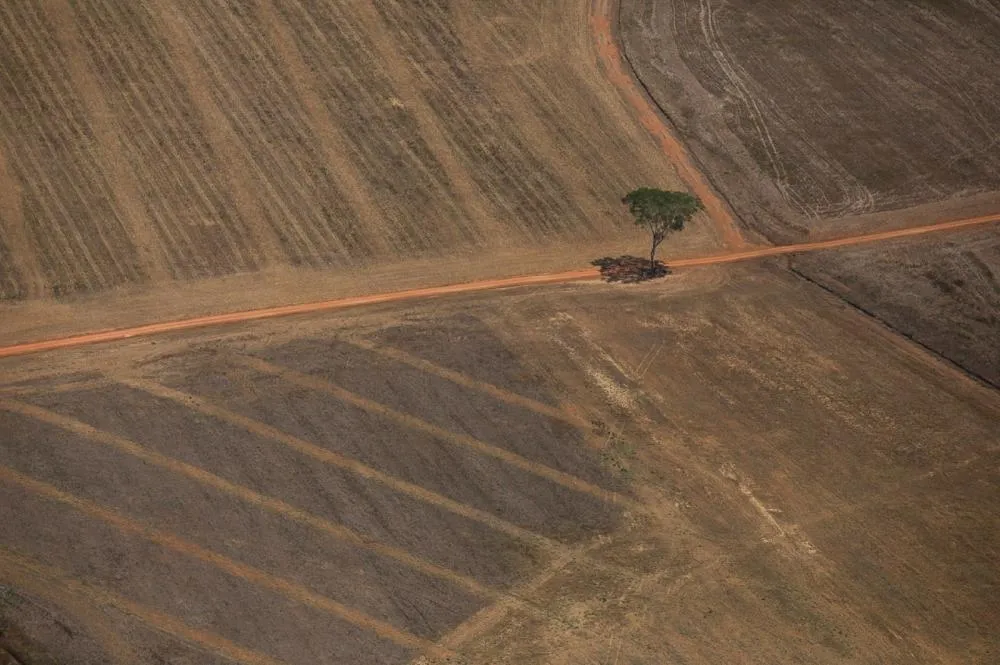 Propriedade rural de Lagoa da Confusão e quatro réus são condenados em ação proposta pelo MPTO.