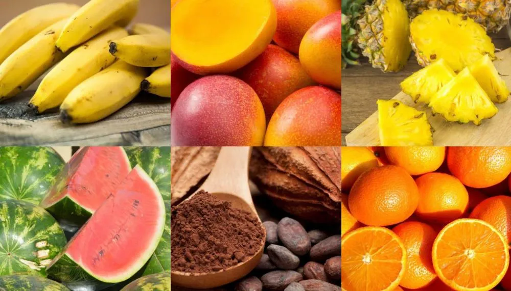Rota da Fruticultura tem como objetivo reunir produtores, agroindústrias, técnicos e o poder público