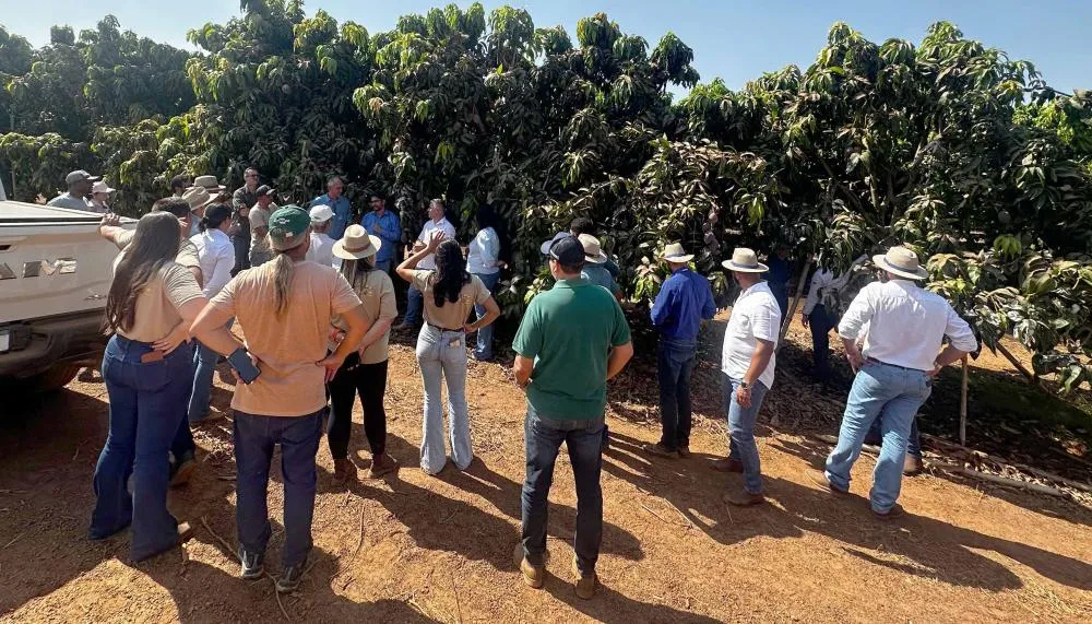 Participantes conheceram as atividades no Projeto de Irrigação Manuel Alves, em Dianópolis