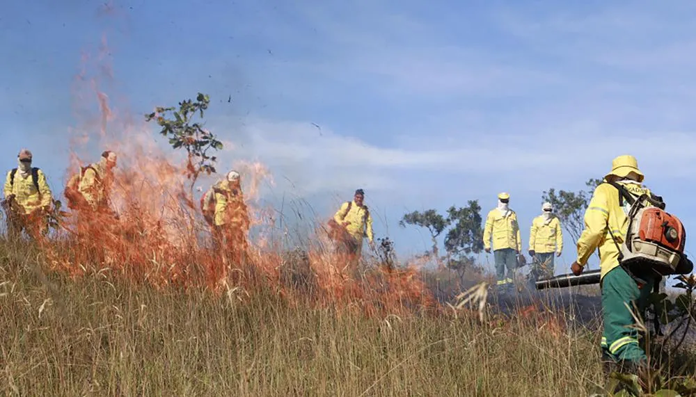 Brigada Gavião Fumaça atua na linha de frente do combate a incêndios florestais nas Unidades de Conservação do Estado