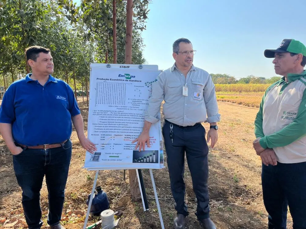 A mandioca é uma das principais culturas agrícolas do Tocantins, com grande importância econômica e social, especialmente para pequenos agricultores e comunidades rurais. 