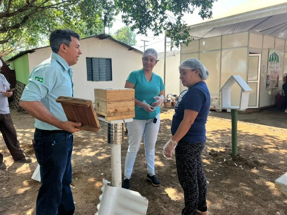 Apicultura atrai visitantes para saber sobre a criação de abelhas