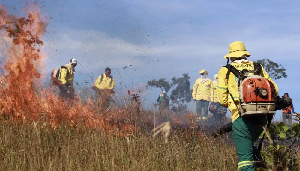  Trabalho dos brigadistas florestais vai além do combate ao fogo; é uma verdadeira missão de proteção.