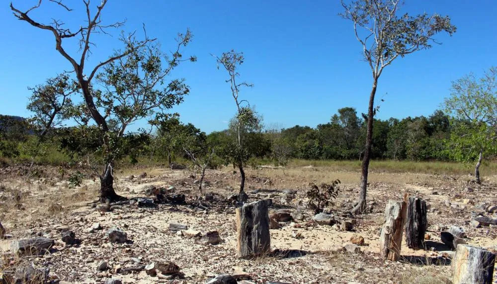 Área da Unidade de Conservação ocupa mais de 30 mil hectares.