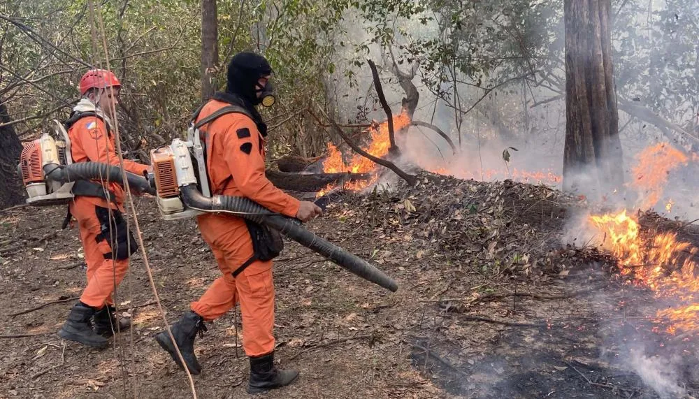  Dezenas de bombeiros militares estão em operação nos dois parques estaduais.