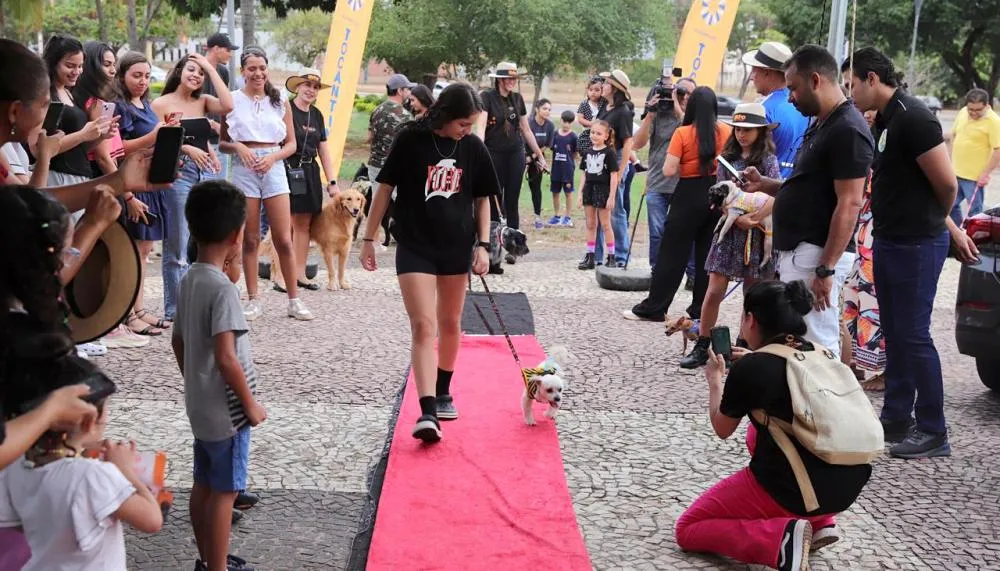 Feira contou com a realização do desfile pet com premiação aos três primeiros colocados 