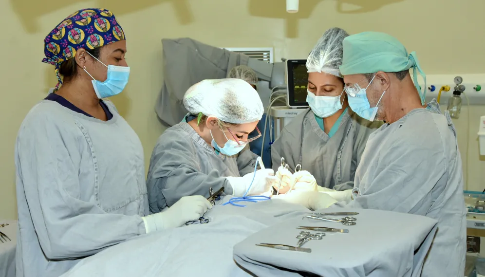 A Medida Provisória compreende além de eletivas, as cirurgias de urgência hospitalar programadas .