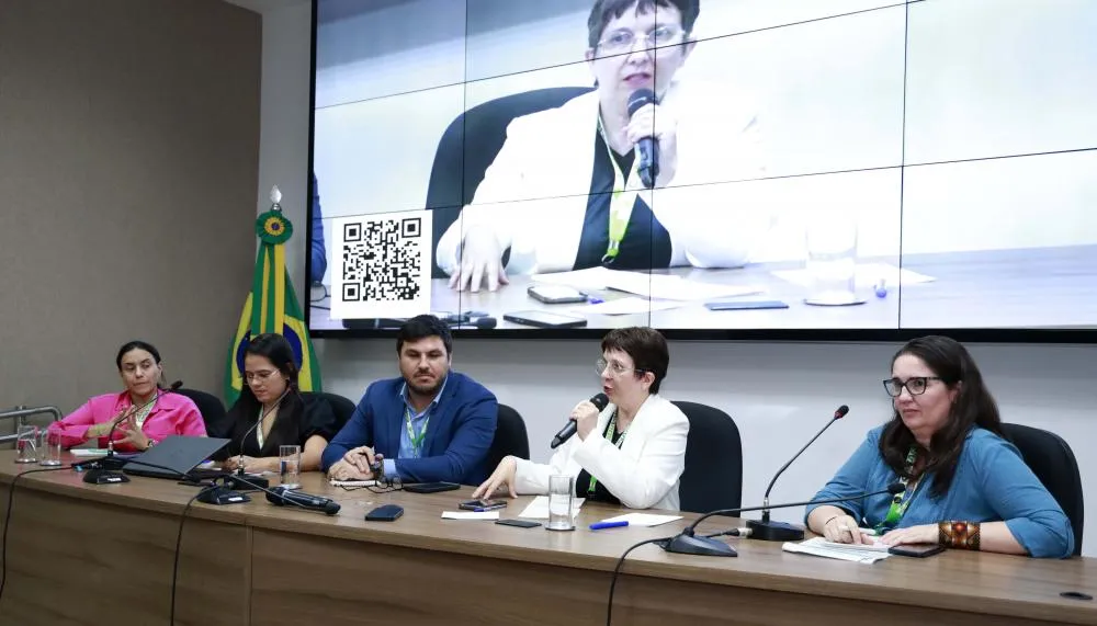 Superintendente Marli Santos destacou apresentação do trabalho do Estado e os desafios enfrentados na mensuração da degradação por fogo no Cerrado 