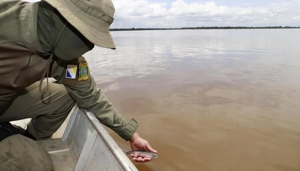 Período de defeso protege a reprodução dos peixes.