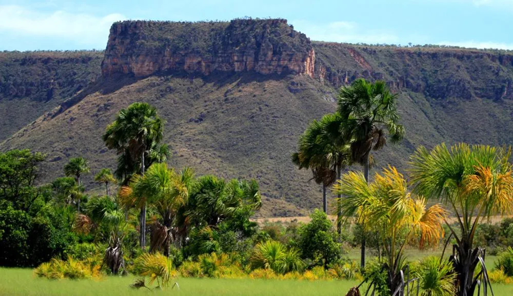 Redução consta no Boletim de Desmatamento nos biomas Amazônia e Cerrado do território tocantinense 
