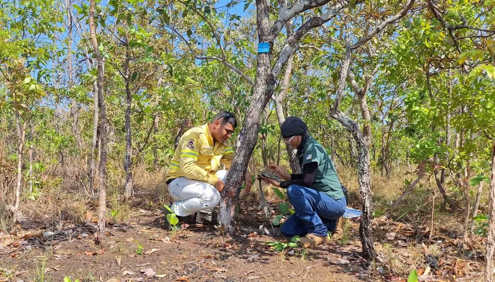 Ações do programa Monitora no Tocantins iniciaram em 2022