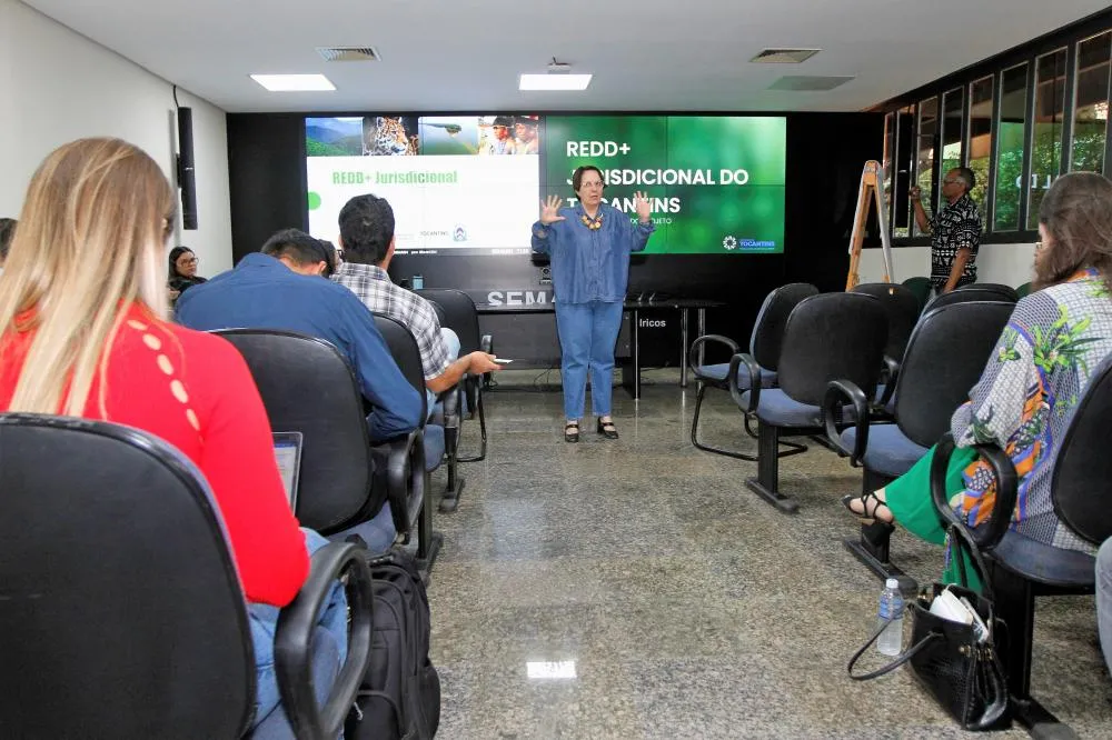 Formação abordará temas essenciais para servidores públicos e técnicos que atuarão na execução das ações e estratégias do Programa REDD+ 