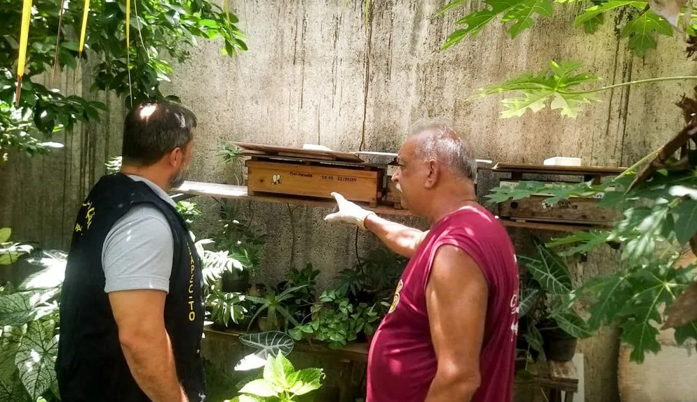 Cadastramento de meliponários visa promover a meliponicultura com garantia sanitária.