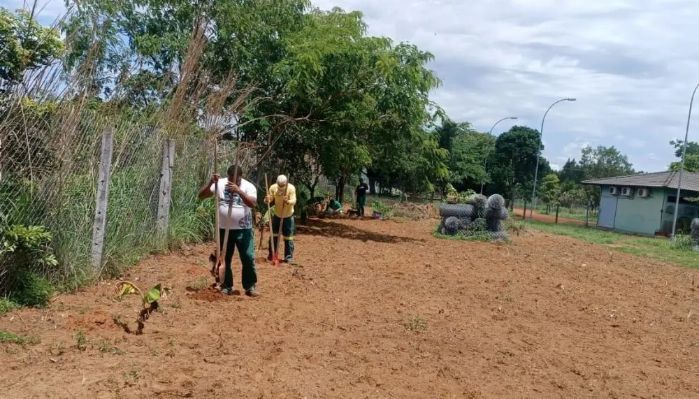 O projeto tem como foco atender às demandas alimentares dos animais do Centro de Fauna do Tocantins.