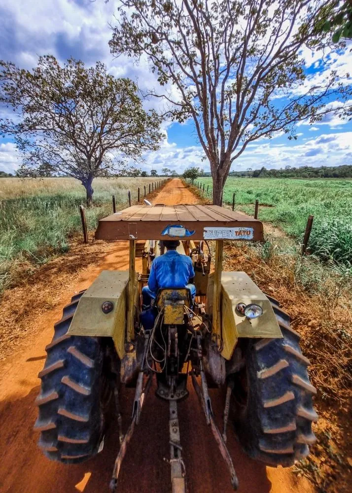 Agricultor familiar garante segurança alimentar com mecanização agrícola 
