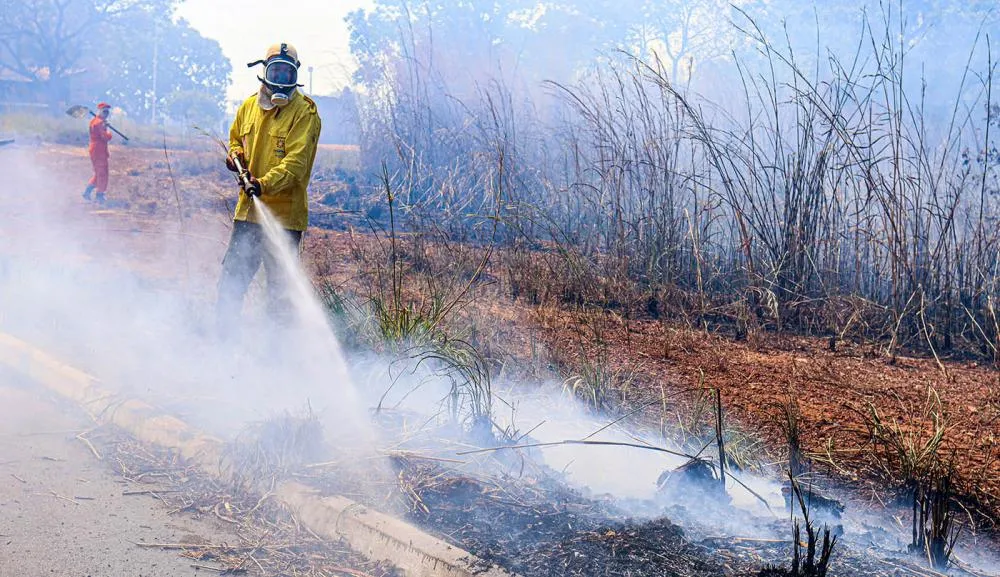 Bombeiros militares e brigadistas combatem incêndio florestal nas proximidades da UPA Norte, em Palmas.