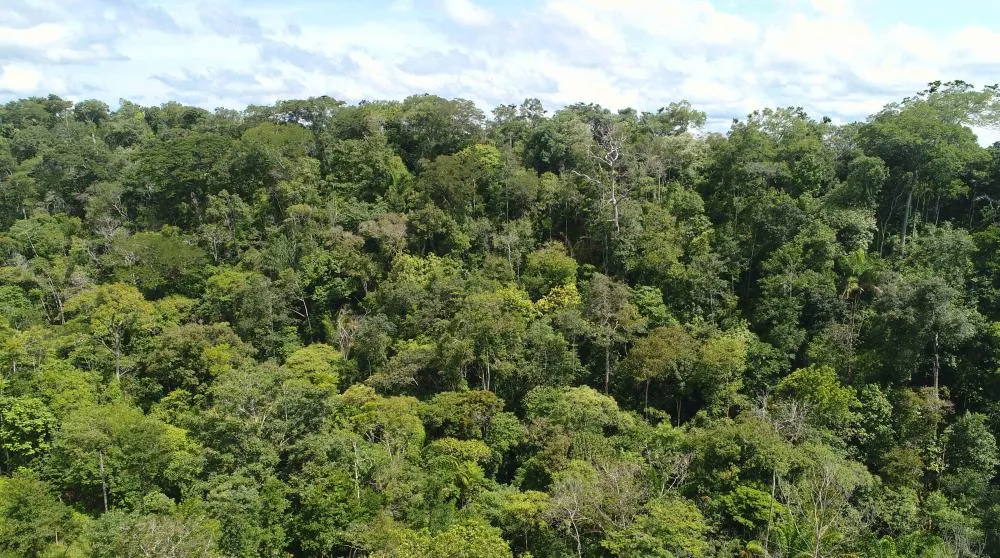 Governo do Tocantins destinou cerca de R$ 5,5 milhões dos recursos da venda de créditos de carbono do programa de REDD+ para implementação do Módulo de Análise do Cadastro Ambiental Rural.