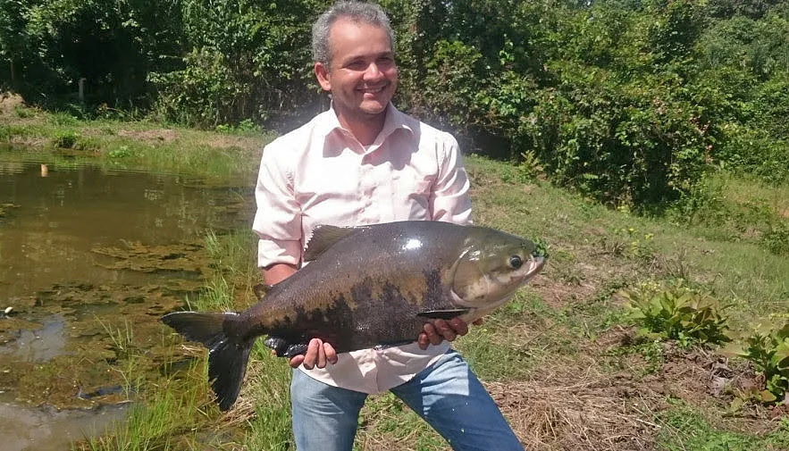 O tambaqui representa 48% da produção tocantinense de pescado.