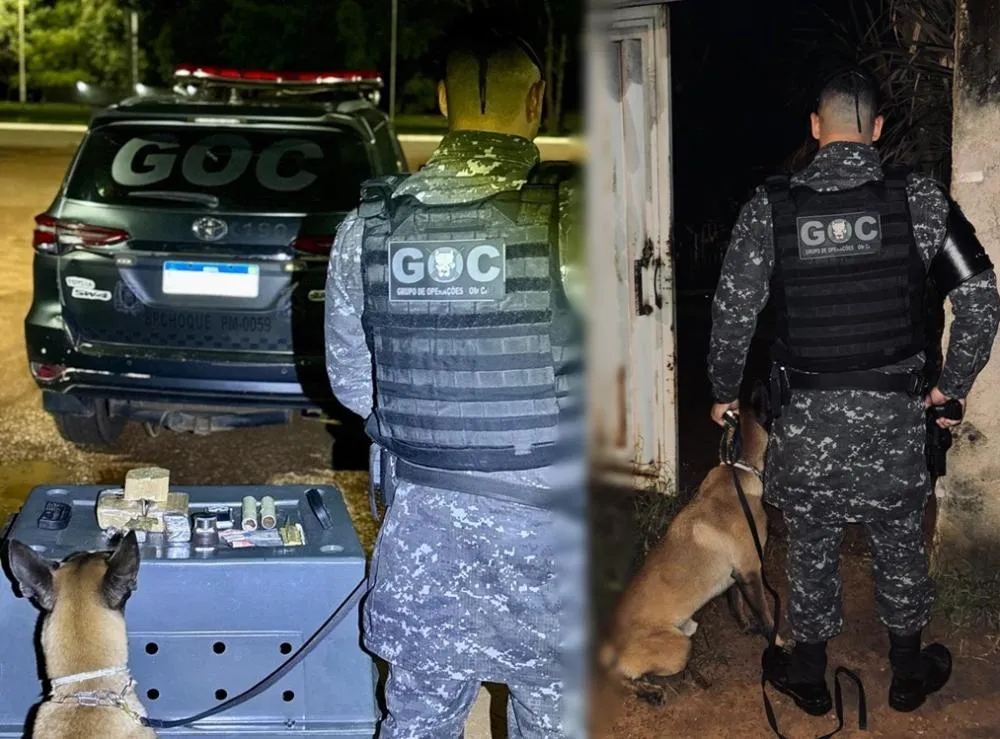 A equipe utilizou o cão farejador K-9 Radar para inspecionar a residência do suspeito – Foto: Divulgação / PMTO.