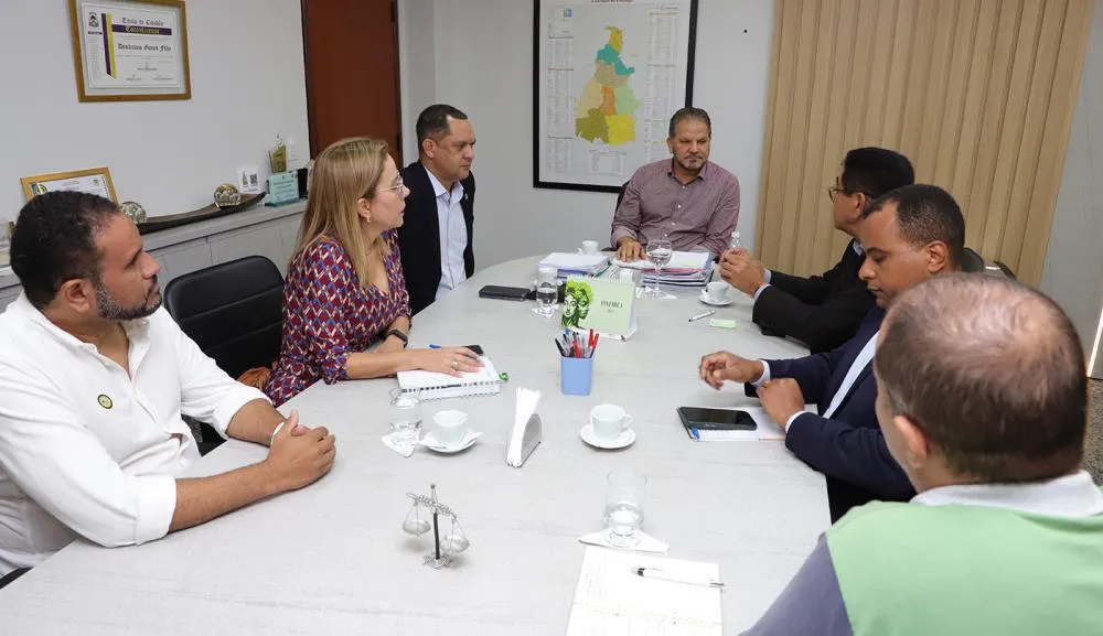 Representantes do Governo do Tocantins, Defensoria Pública e do Conselho de Promoção da Igualdade Racial discutem a implementação de políticas públicas de combate ao racismo.