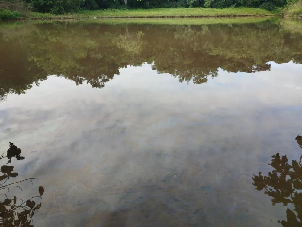 O óleo chegou ao lago do Parque Cesamar por meio do Ribeirão Brejo Comprido.