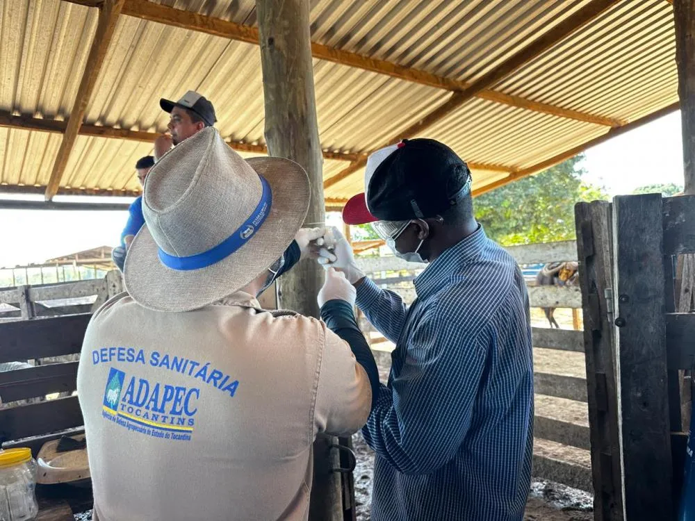 Curso abordou cuidados e orientações sobre o manejo da vacina, além de aulas práticas.