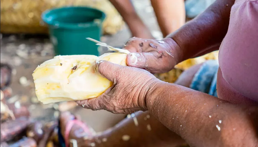 Projeto Conexões Transformadoras beneficiará quatro associações das regiões do Portal do Jalapão e Serras Gerais.